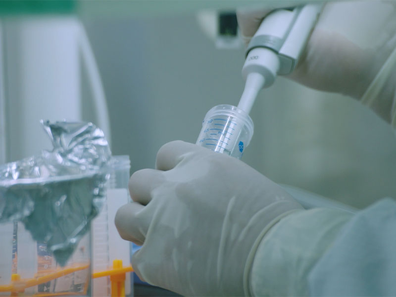 Mrna Rsv txertoaren immunitate umorala eta zelularra nazioartean merkaturatutako produktuen aplikazioa AEBetan entsegu klinikoetarako aplikazioa baino nabarmen handiagoa zen.