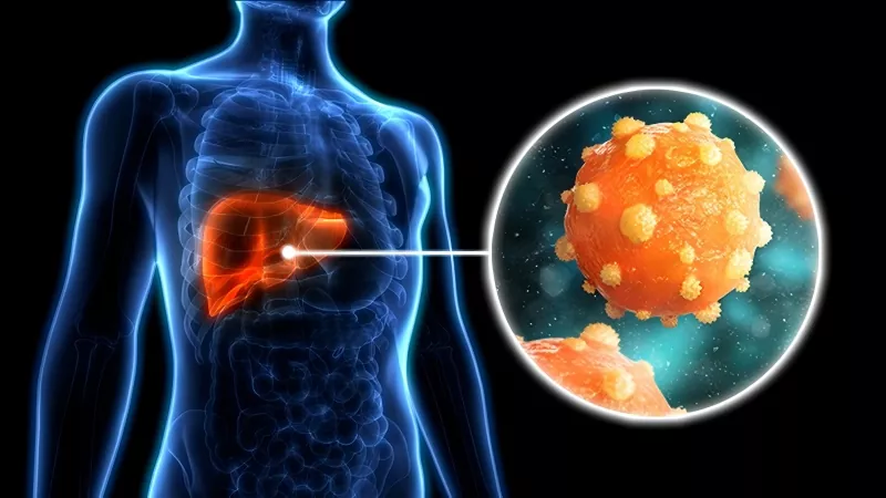 B Hepatitisaren aurkako txertoa ez da 